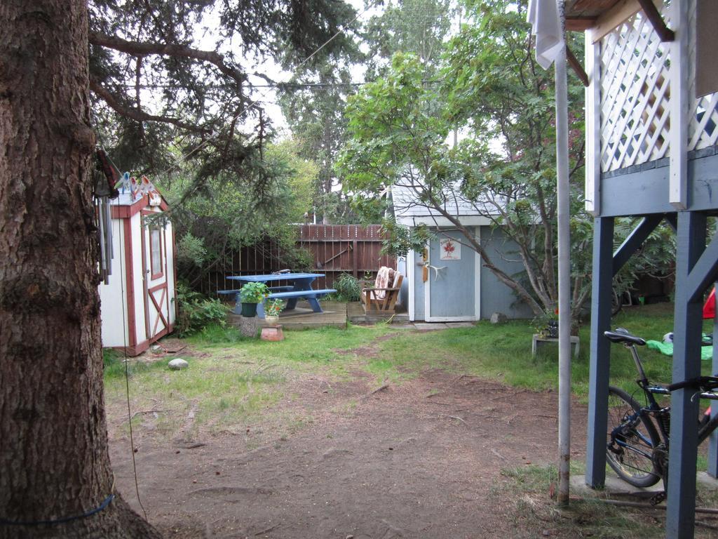 Beez Kneez Bakpakers Hostel Whitehorse Kültér fotó
